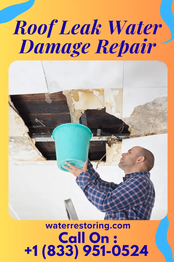 Roof Leak Water Damage Repair in Mier, IN