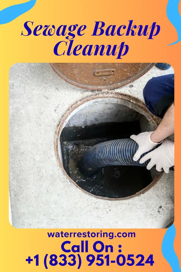 Sewage Backup Cleanup in Mier, IN